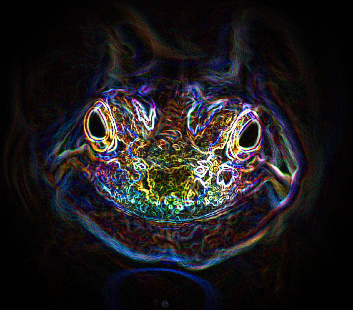 Jsme v Matrixu, který dělá MJMJMJMJMJMJ aneb moje zkušenost s 5-MeO-DMT z žáby Bufo Alvarius